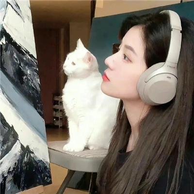 四爷的心尖宠妃