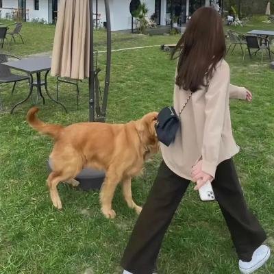 致命婚姻：美国逆伦案之谜
